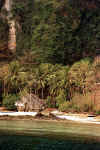 Photo de koh Phi Phi