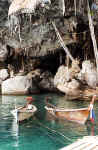 La grotte aux nids d'hirondelles de mer. Cliquer pour agrandir