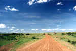 Photo sur les pistes de la brousse africaine