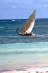 Photo de dhow, boutre du Kenya. Photo plage diani beach. Cliquer pour agrandir