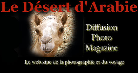Incontournable lors d'un voyage dans les Emirats, le dsert est une source de vie et l'occasion de rencontrer l'Oryx d'Arabie ou de pratiquer le saut de dunesen 4x4