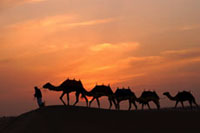 Les excursions possibles  Duba