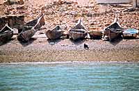 Barques en palmes  Nadifi - Cliquez sur la photo pour agrandir
