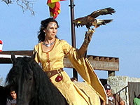 Spectacle de volerie - Cliquez pour agrandir