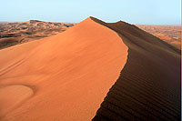 Au sommet de la dune - Cliquez pour agrandir