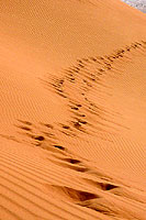 Chercher le sable porteur - Cliquez pour agrandir