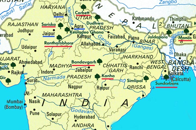 Cliquez pour partir sur les traces du tigre au Rajasthan