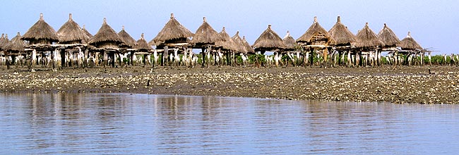 Les greniers  mil. De loin, ces huttes rondes en paille font penser tout dabord  un ancien village traditionnel africain. 