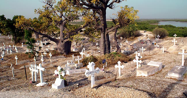 Sous le soleil de midi, si la blancheur crue aveugle, cest quici, tout est en coquillage