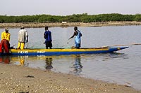 Piroguiers - Cliquez pour agrandir en 650x400