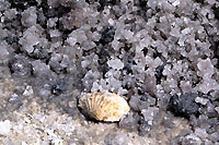 Cristaux de sel - Cliquez pour agrandir en 650x400