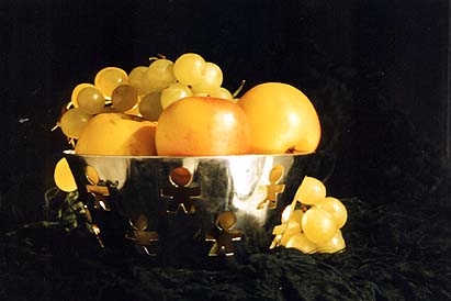 Cliquer pour choisir votre expo