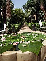 Les riads, riads au Maroc: palais et jardins