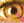 oeil1.gif (364 octets)