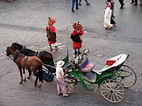Les calches de marrakech, l'idal pour la visite
