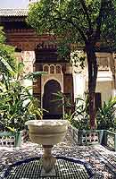 Jardin patio (Cliquez pour agrandir)
