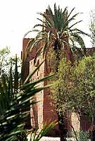 Une kasbah dans la palmeraie de Skoura