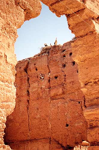 Palais el Badii - Photo du palais el Badii