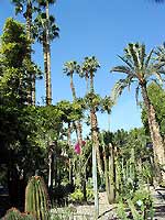 Les jardins Majorelle  Marrakech