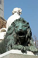 Cliquez sur la photo pour agrandir et voir d'autres photos